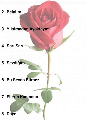 Mahsun Kırmızıgül Şarkıları İnternetsiz скриншот 1