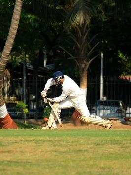 Cricket Wallpapers HD screenshot 1