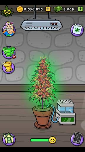 Bud Farm Grass Roots screenshot 8