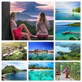 Grid Frame Collage FREE on 9Apps