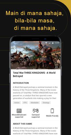 Netboom screenshot 6