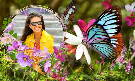Butterfly Photo Frames HD screenshot 2