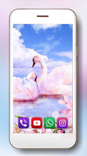 Spring Swans Live Wallpaper screenshot 4
