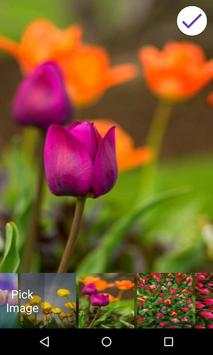 Tulips Lock Screen Pro App screenshot 6