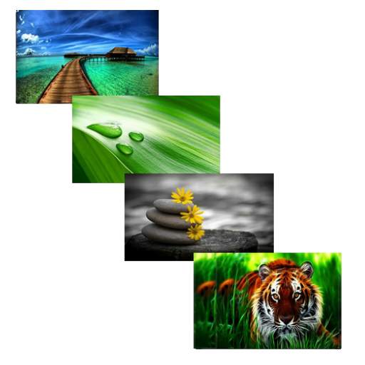 3D wallpapers (HD, 4k) 1.5.1