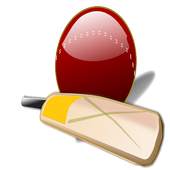 Cricket Scorer 1.0