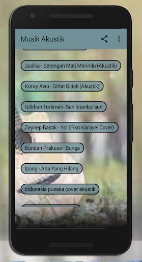 Akustik Musik Mix screenshot 2