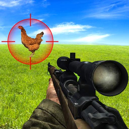 Bird Hunting Chicken Shooting 1.5