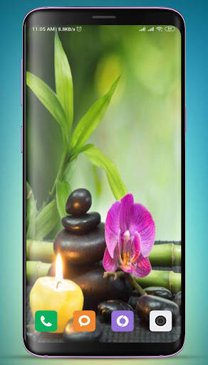 Bamboo Wallpaper HD screenshot 13
