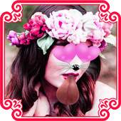 Flower Crown Stickers & Frames 5.0