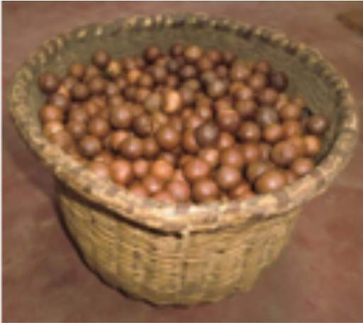 KALRO Macadamia Nut screenshot 2