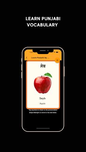 Learn Punjabi screenshot 4