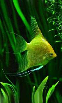 Fishes Aquarium screenshot 4