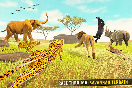 la savane des courses d'animaux 3D screenshot 2