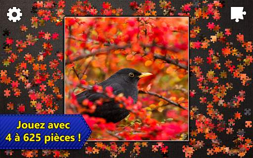 Jigsaw Puzzles Epic screenshot 10