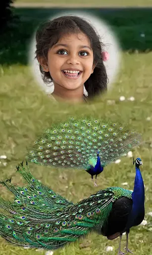 Peacock Photo Frames HD screenshot 2