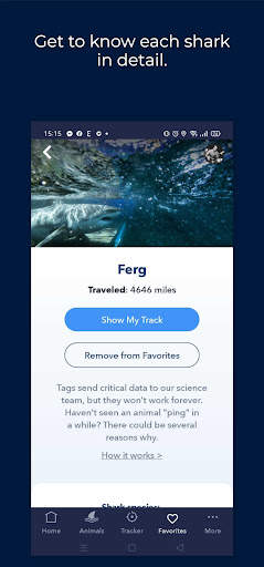 OCEARCH Shark Tracker screenshot 3