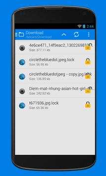 File Locker Master screenshot 5