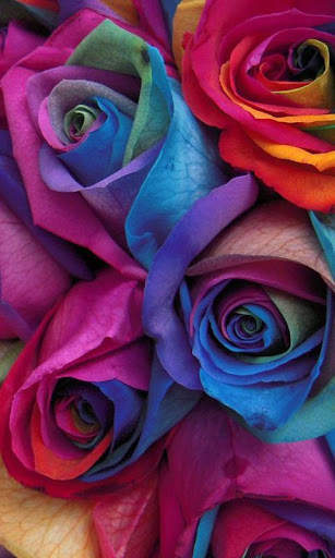 Rose Wallpapers screenshot 6