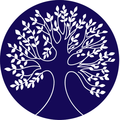 A M B Shop icon