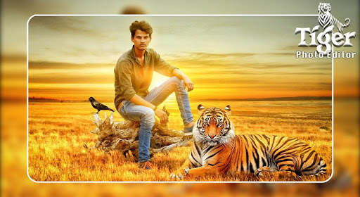 Tiger Photo  Editor screenshot 4