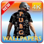 ikon wallpapers pubg 4k