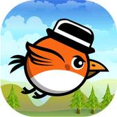 Angry Adventure Bird 1.0