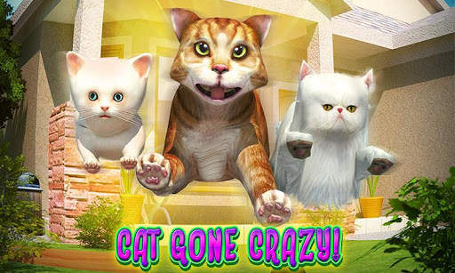 Cat Frenzy 3D screenshot 5