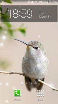 Spring Birds screenshot 5