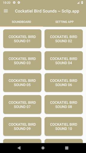 Cockatiel Bird Sound Collections ~ Sclip.app screenshot 1