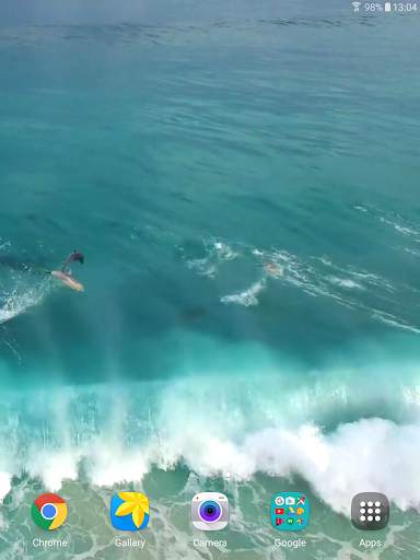 Dolphins Video Live Wallpaper screenshot 7