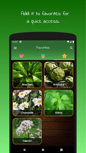 myRemedy: Medicinal plants and their uses screenshot 7