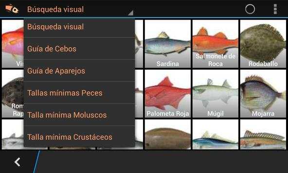 Pescar en Asturias Lite screenshot 14