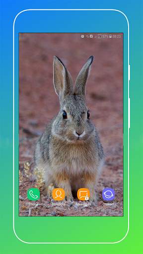 Rabbit Wallpaper screenshot 15