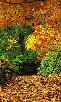 Autumn wallpapers screenshot 3