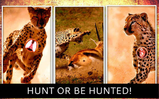 Cheetah Hunter 2016 screenshot 10