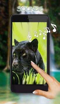 Panthers live wallpaper screenshot 2
