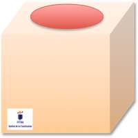 123 cica icon
