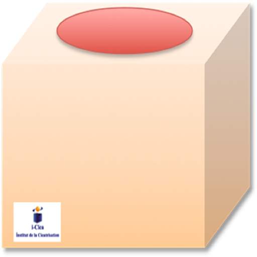 123 cica 5.0.0.0