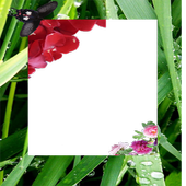Cam Photo flower Frames icon