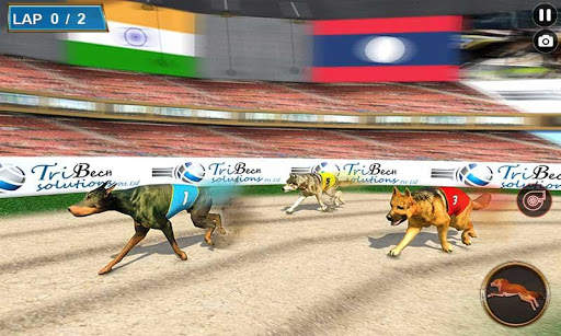 Real Dog Racing Tournament screenshot 4