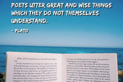 Plato Quotes screenshot 3