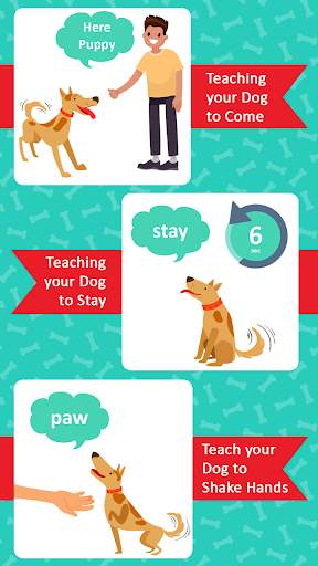 Dog Clicker Puppy Training App screenshot 3