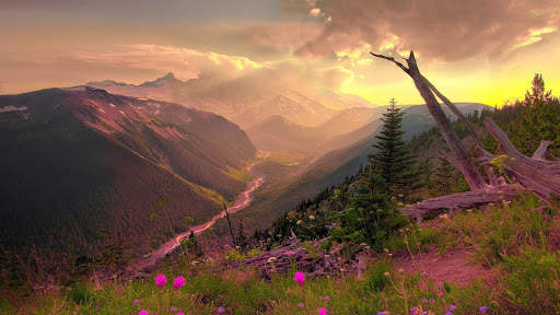 Spring Wallpapers : backgrounds hd screenshot 21