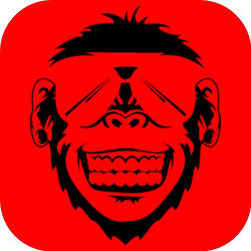 Radio King Kong emisoras de radios gratis 24/7 9.6