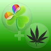 Ganja Theme for GO Launcher 3.0