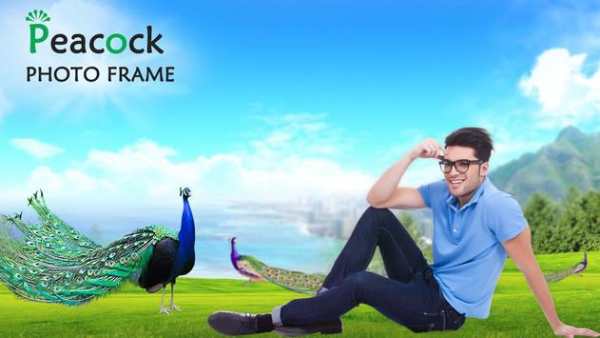Peacock Photo Frame screenshot 2