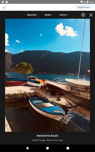 Yogile - Unlimited Photo Storage, Simplified screenshot 12