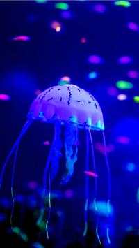 Aquarium Wallpaper HD Free screenshot 10