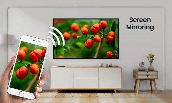 Screen Mirroring screenshot 2